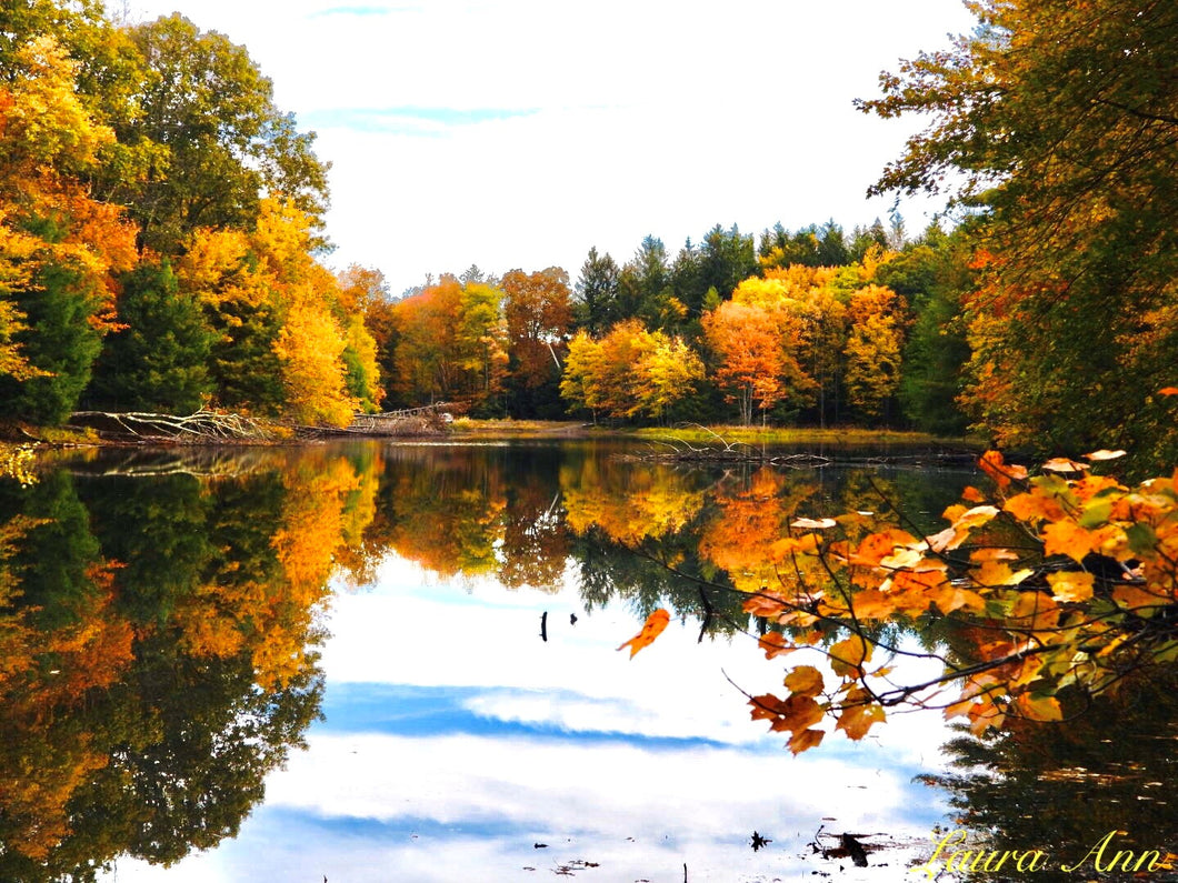 Autumn Peace 11x14 Photo print