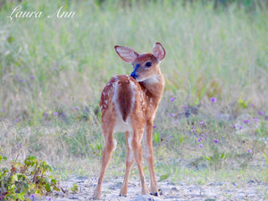 Innocent 11x17 photo print with frame